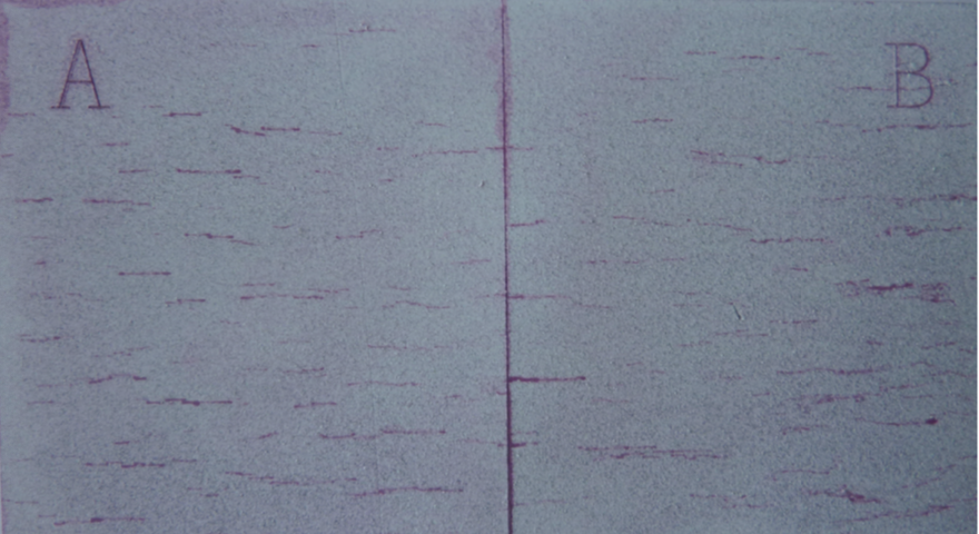 1542419262121087.png 火马电竞平台官网司|试块